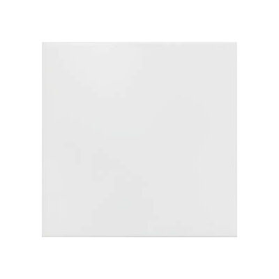 Blanco matt 20x20,SIENAS FLĪZES