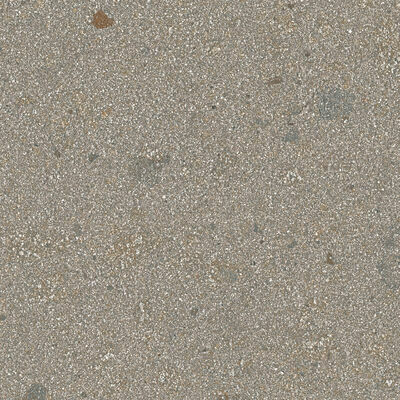 Code2 2660 SN70 porfid 60x60 R10A,GRĪDAS FLĪZES