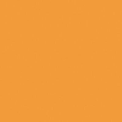 Colorvision 1190 B505 orange 20x20,SIENAS FLĪZES