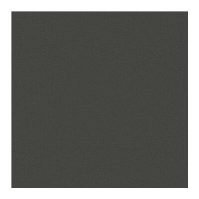 Pro Architectura 3.0 2405 C290 solid grey R10B,GRĪDAS FLĪZES