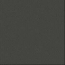 Pro Architectura 3.0 2405 C290 solid grey R10B,GRĪDAS FLĪZES