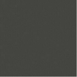ProArchitec 3.0 2405 C290 solid grey 15x15,GRĪDAS FLĪZES