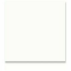 RAL white 20x20,GRĪDAS FLĪZES