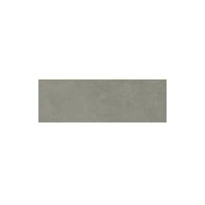 Restonica 1310JS90 antrhracit  30x90,SIENAS FLĪZES