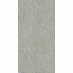 SolidTones 2737 PS60 cool stone 60x120 R10B,