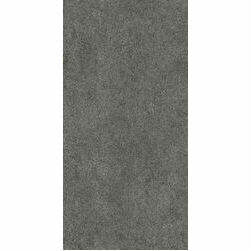 SolidTones 2737 PS62 dark grey 60x120 R10B,