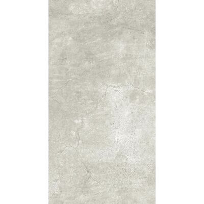 Terminal silver 30x60 R10,GRĪDAS FLĪZES